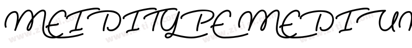 MEIDITYPE MEDIUM ME字体转换